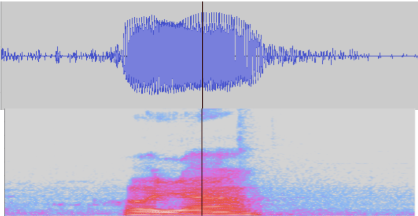 Spectrogram